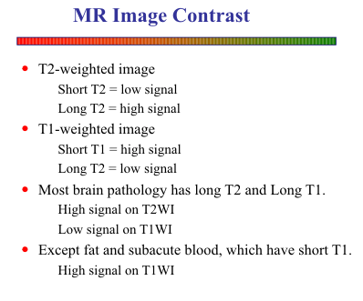 Weighted blood t1 mri The Basics